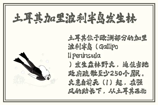 麻豆视频用页面打开